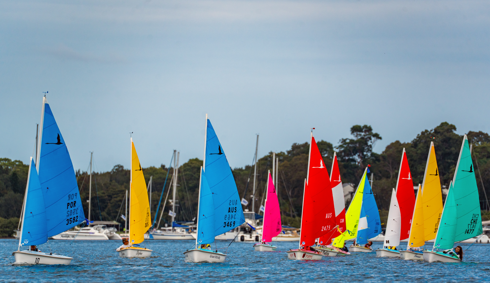 ARC client sailing with Sailability